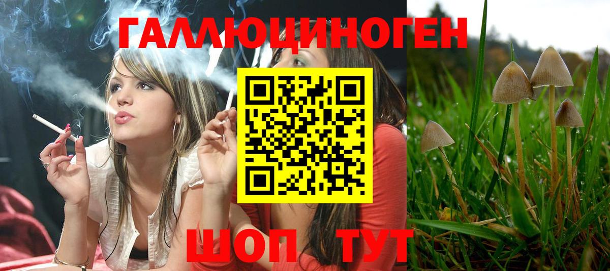 Бузулук  Галлюциногенные грибы Psilocybe  Вход с VPN  Галлюциногенные грибы Psilocybine cubensis 