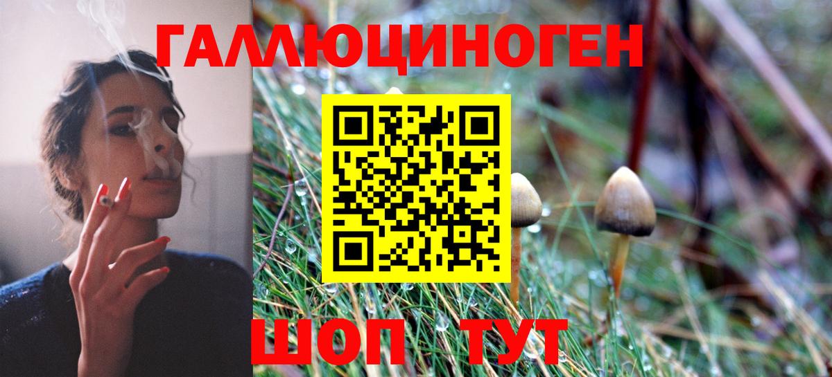 Бузулук  Гашиш  ЭКСТАЗИ  Меф кристаллы  Вход с VPN  Cocaine  Бошки Шишки 